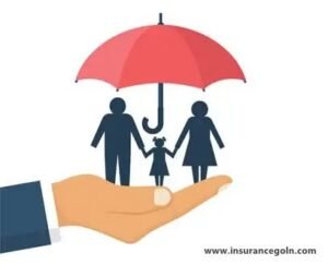 বাউবি এইচএসসি ২৮৮১ ফিন্যান্স, ব্যাংকিং ও বিমা, দ্বিতীয় পত্র ( ব্যাংকিং ও বিমা )