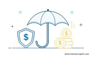 সাধারণ মেয়াদী বীমাপত্রে নীট বার্ষিক কিস্তি নির্দ্ধারণ