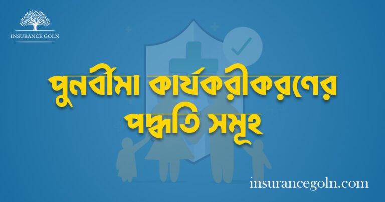 পুনর্বীমা কার্যকরীকরণের পদ্ধতি সমূহ