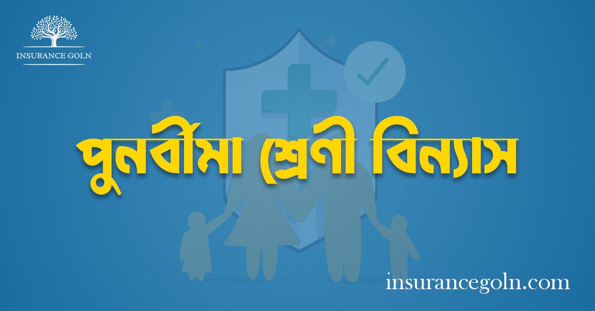 পুনর্বীমা শ্রেণী বিন্যাস