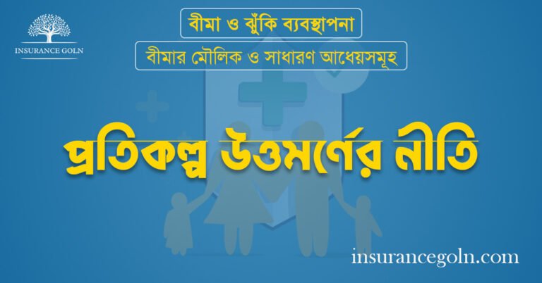 প্রতিকল্প উত্তমর্ণের নীতি