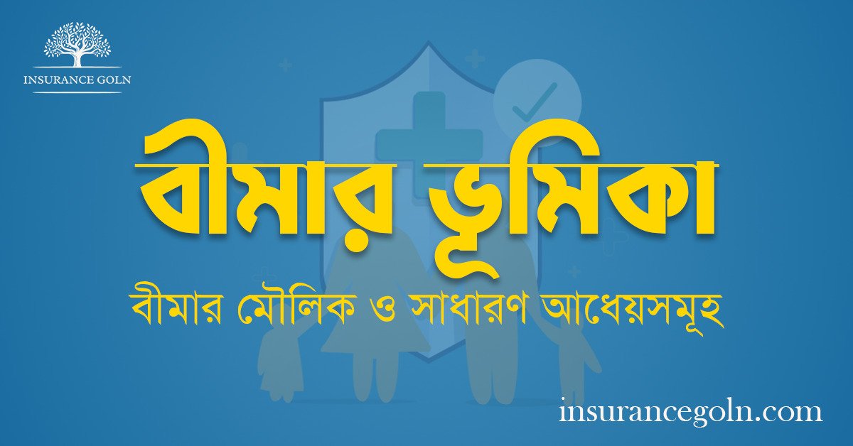 বীমার ভূমিকা