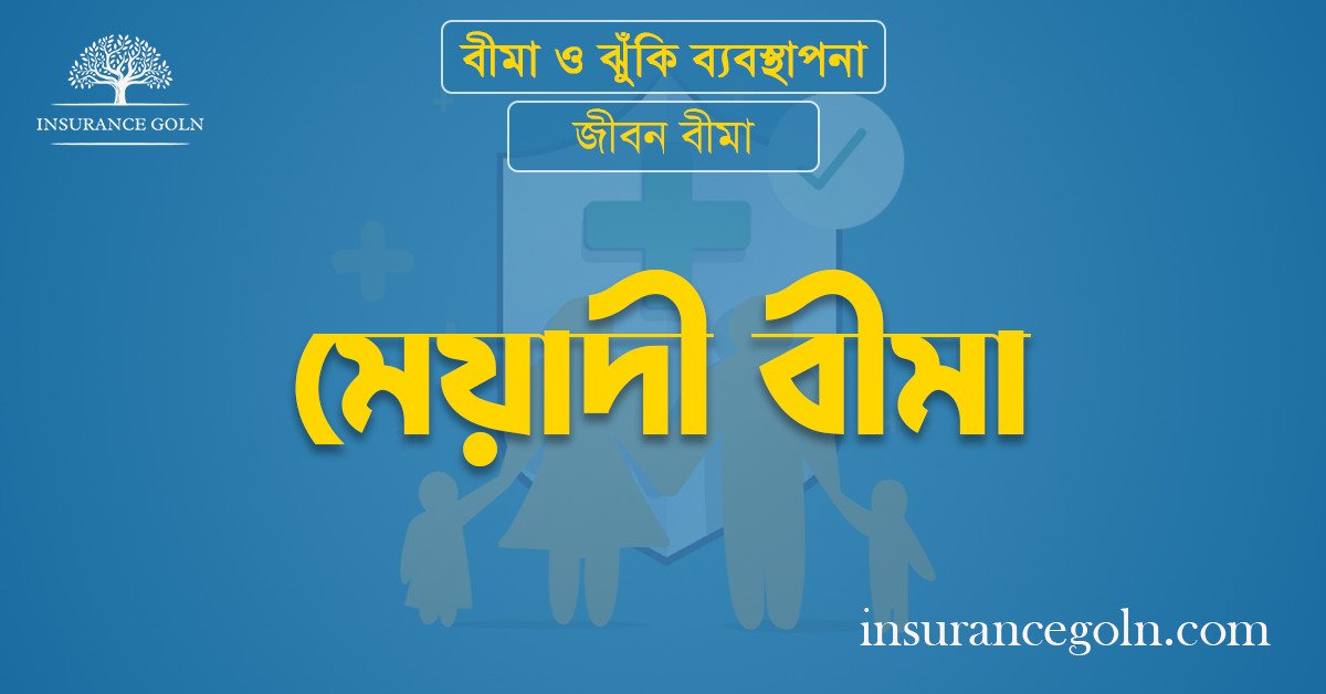মেয়াদী বীমা