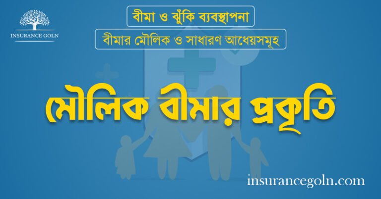 মৌলিক বীমার প্রকৃতি