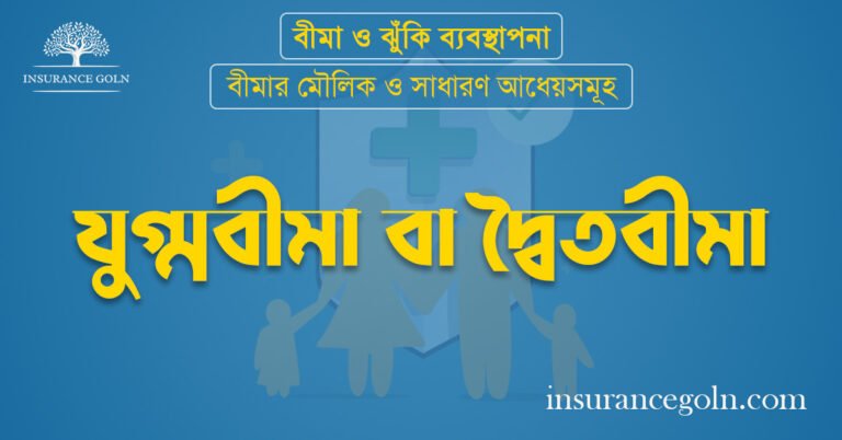 যুগ্মবীমা বা দ্বৈতবীমা