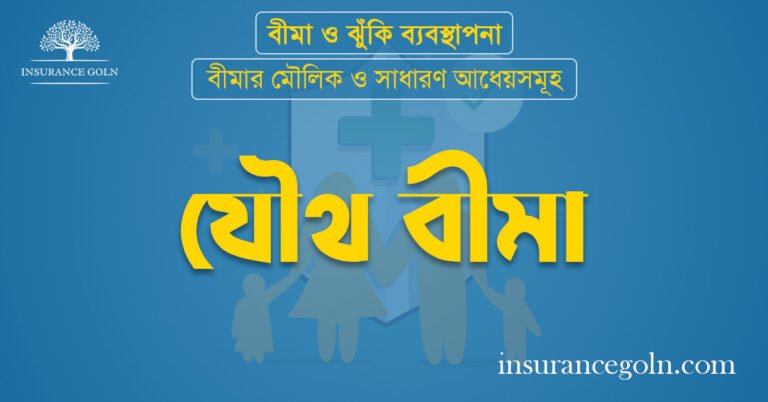 যৌথ বীমা