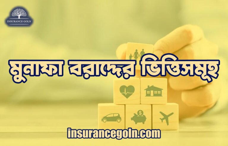 মুনাফা বরাদ্দের ভিত্তিসমূহ