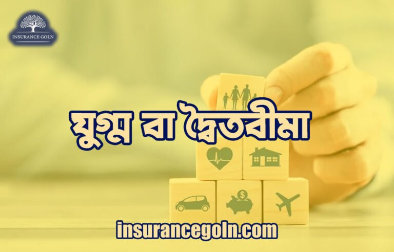 যুগ্ম বা দ্বৈতবীমা