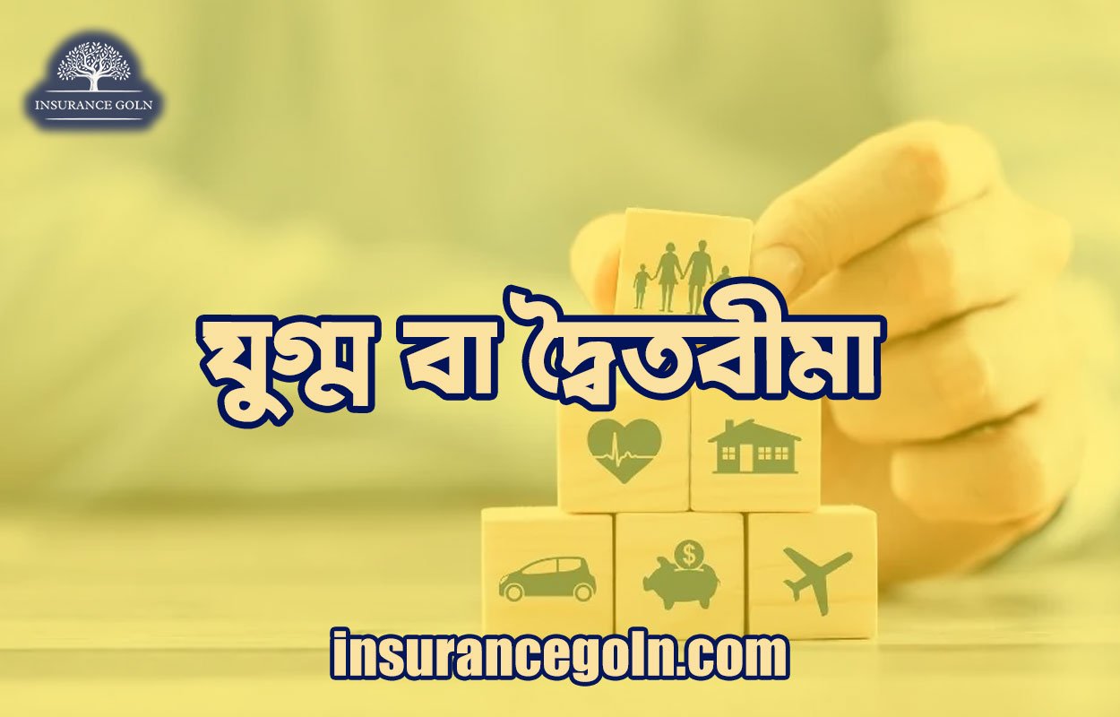 যুগ্ম বা দ্বৈতবীমা