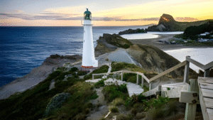 প্রাকৃতিক দুর্যোগ মোকাবিলায় গবেষণা প্রকল্প বাড়াচ্ছে নিউজিল্যান্ড