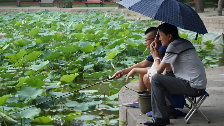 চীনা বীমা বাজারে কাস্টমাইজড এবং উদ্ভাবনী সমাধান বৃদ্ধি