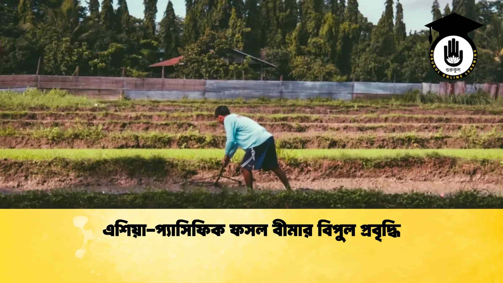 এশিয়া-প্যাসিফিক ফসল বীমার বিপুল প্রবৃদ্ধি