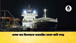 গালফ অব ফিনল্যান্ডে সাবমেরিন কেবল ক্ষতি তদন্ত