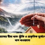 আইসল্যান্ডের বীমা খাত ঝুঁকি ও প্রাকৃতিক দুর্যোগের সঙ্গে খাপ খাওয়ানো