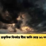 বিশ্বে প্রাকৃতিক বিপর্যয়ে বীমা ক্ষতি বেড়ে ৯২ শতাংশ