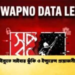 স্বপ্ন ইস্যুতে সাইবার ঝুঁকি ও ইন্স্যুরেন্স প্রয়োজনীয়তা