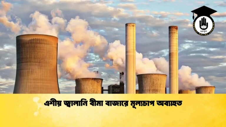 এশীয় জ্বালানি বীমা বাজারে মূল্যচাপ অব্যাহত