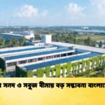 কার্বন সনদ ও সবুজ বীমায় বড় সম্ভাবনা বাংলাদেশের