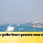 মার্কিন পুনঃবীমা উদ্যোগে যুক্তরাজ্যের বাজার চ্যালেঞ্জ