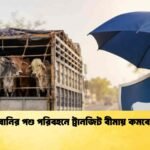 কোরবানির পশু পরিবহনে ট্রানজিট বীমায় কমবে ঝুঁকি